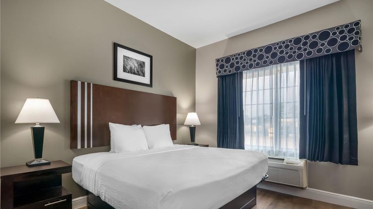 Best Western Abbeville Inn & Suites Room