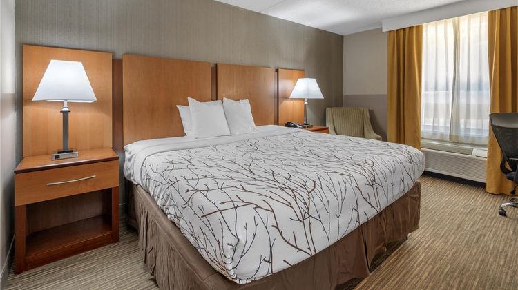 Best Western La Plata Inn Room