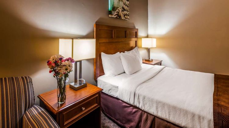 Best Western Adams Inn Quincy-Boston Room