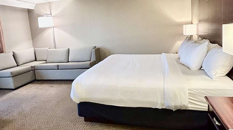 Best Western Plus Kelly Inn Room