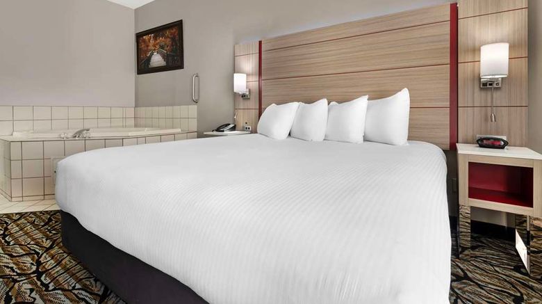 <b>Best Western Plus Albert Lea I-90 Hotel Room</b>. Images powered by <a href="https://iceportal.shijigroup.com/" title="IcePortal" target="_blank">IcePortal</a>.