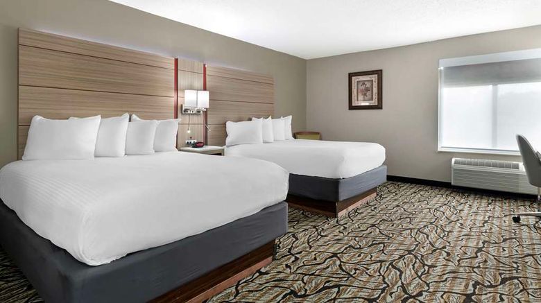 <b>Best Western Plus Albert Lea I-90 Hotel Room</b>. Images powered by <a href="https://iceportal.shijigroup.com/" title="IcePortal" target="_blank">IcePortal</a>.