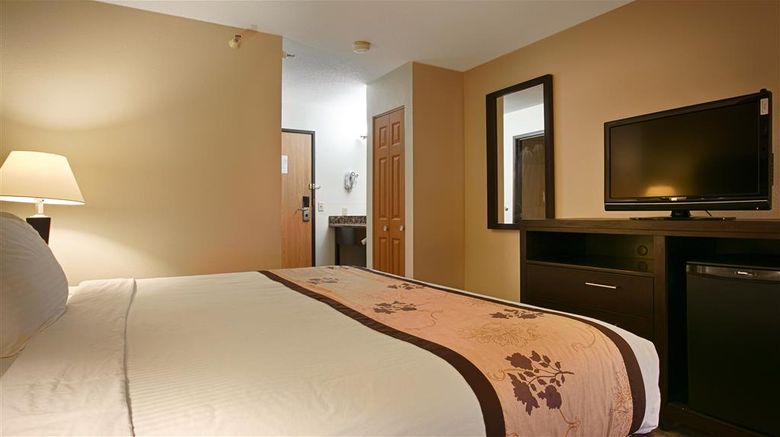 <b>Best Western Alexandria Inn Room</b>. Images powered by <a href="https://iceportal.shijigroup.com/" title="IcePortal" target="_blank">IcePortal</a>.