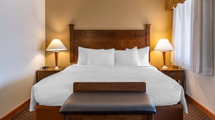 Best Western Desert Inn Room