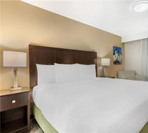 Best Western Fort Lee Room