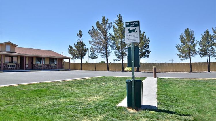 Best Western Deming Southwest Inn Other