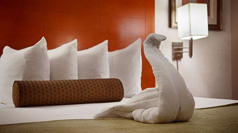 <b>Best Western JFK Airport Hotel Room</b>. Images powered by <a href="https://iceportal.shijigroup.com/" title="IcePortal" target="_blank">IcePortal</a>.