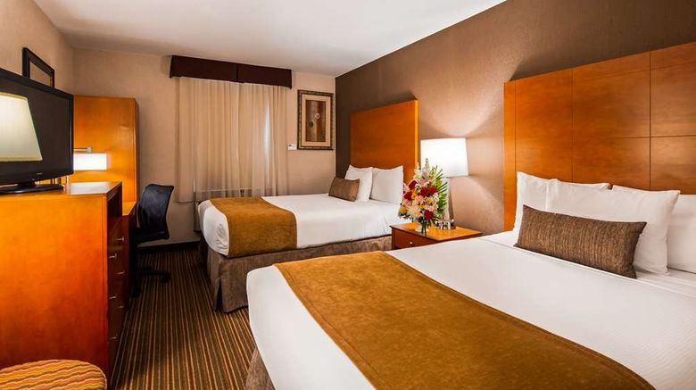 <b>Best Western JFK Airport Hotel Room</b>. Images powered by <a href="https://iceportal.shijigroup.com/" title="IcePortal" target="_blank">IcePortal</a>.