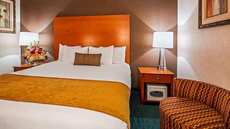 <b>Best Western JFK Airport Hotel Room</b>. Images powered by <a href="https://iceportal.shijigroup.com/" title="IcePortal" target="_blank">IcePortal</a>.