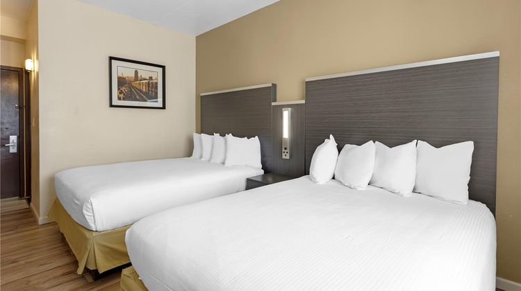 Best Western Jamaica Inn Room