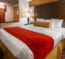 Best Western Plus Galleria Inn & Suites Room