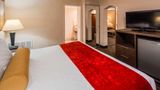 Best Western Plus Galleria Inn & Suites Room
