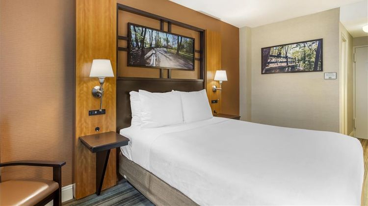 Best Western Queens Gold Coast Room