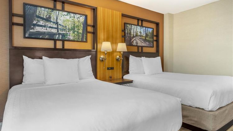 Best Western Queens Gold Coast Room
