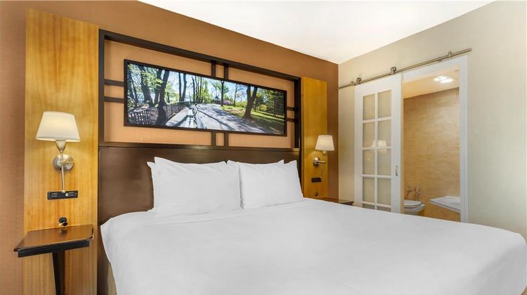Best Western Queens Gold Coast Room