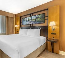 Best Western Queens Gold Coast Room