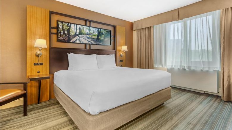 <b>Best Western Queens Gold Coast Room</b>. Images powered by <a href="https://iceportal.shijigroup.com/" title="IcePortal" target="_blank">IcePortal</a>.
