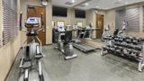 <b>Best Western Plus Williston Hotel/Stes Health</b>. Images powered by <a href="https://iceportal.shijigroup.com/" title="IcePortal" target="_blank">IcePortal</a>.
