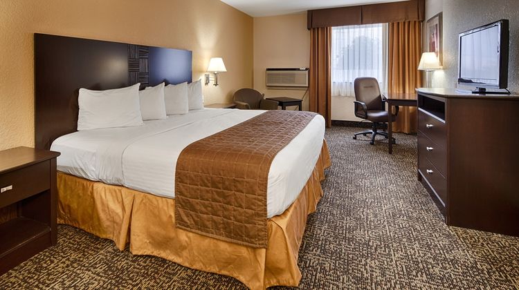 Best Western Inn Room