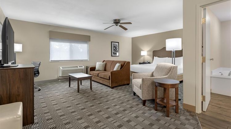 Best Western TimberRidge Inn Room