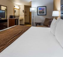 Best Western Oak Meadows Inn Room