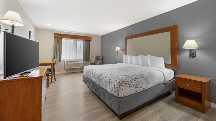 Best Western Newberg Inn Room