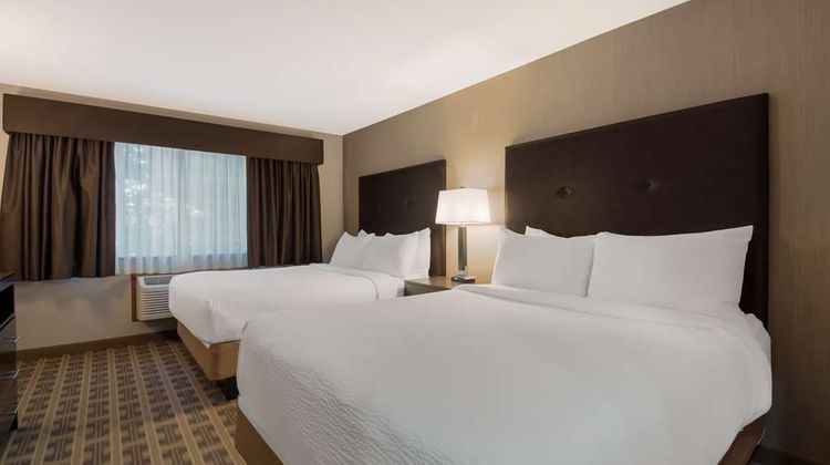 Best Western University Inn & Suites Room