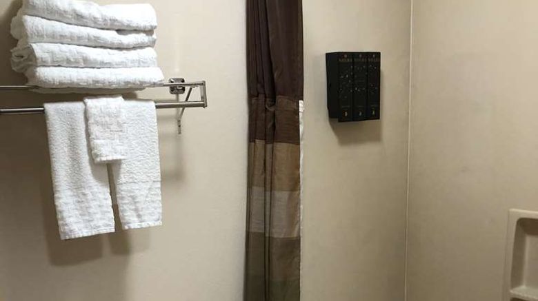 <b>Best Western Dallas Inn & Suites Room</b>. Images powered by <a href="https://iceportal.shijigroup.com/" title="IcePortal" target="_blank">IcePortal</a>.