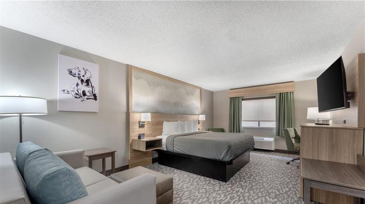 Best Western Plus Executive Inn Room
