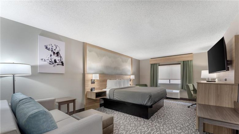<b>Best Western Plus Executive Inn Room</b>. Images powered by <a href="https://iceportal.shijigroup.com/" title="IcePortal" target="_blank">IcePortal</a>.