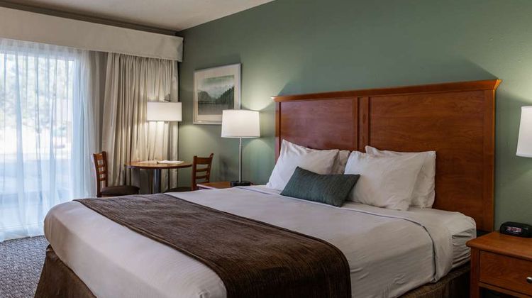 Best Western Buffalo Ridge Inn Room