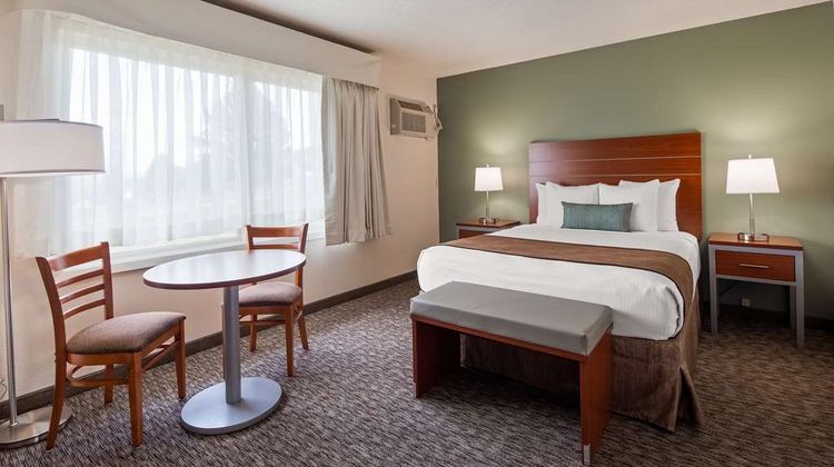 Best Western Buffalo Ridge Inn Room