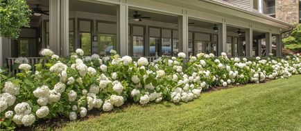 Best Western Plaza Inn Exterior