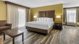 Best Western Plaza Inn Room