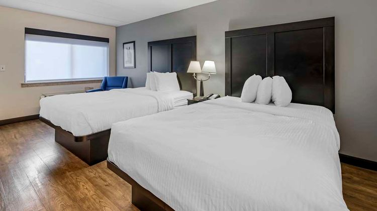Best Western Shelbyville Inn and Suites Room