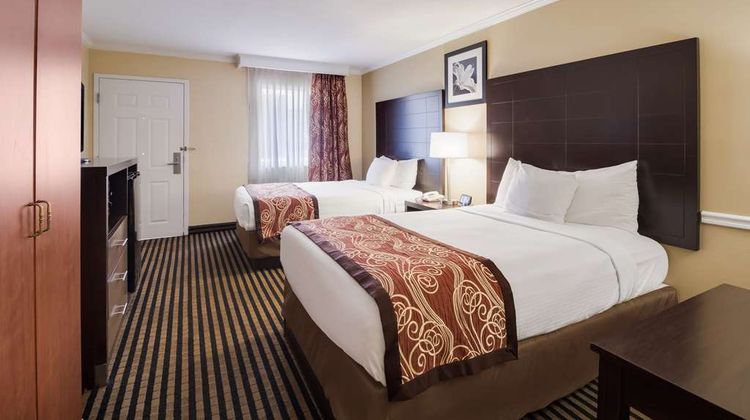 Best Western McKenzie Room