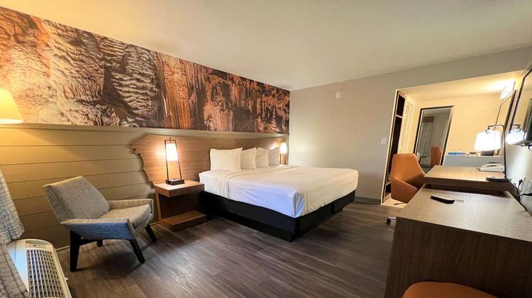 Best Western Tree City Inn Room