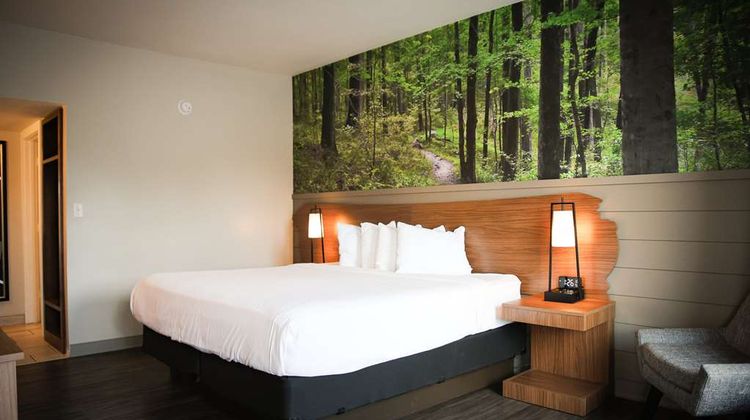 Best Western Tree City Inn Room