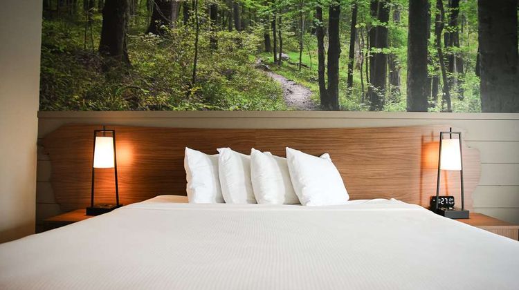 Best Western Tree City Inn Room