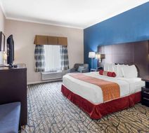 Best Western Spring Hill Inn & Suites Room