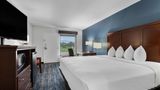Best Western Canton Inn Room