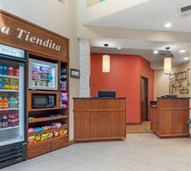Best Western McAllen Medical Center Lobby