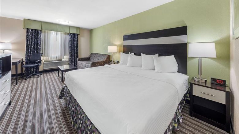 <b>Best Western Borger Inn Room</b>. Images powered by <a href="https://iceportal.shijigroup.com/" title="IcePortal" target="_blank">IcePortal</a>.