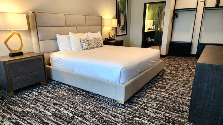 <b>Aiden San Antonio Riverwalk Room</b>. Images powered by <a href="https://iceportal.shijigroup.com/" title="IcePortal" target="_blank">IcePortal</a>.