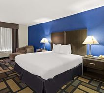 Best Western Galleria Inn & Suites Room