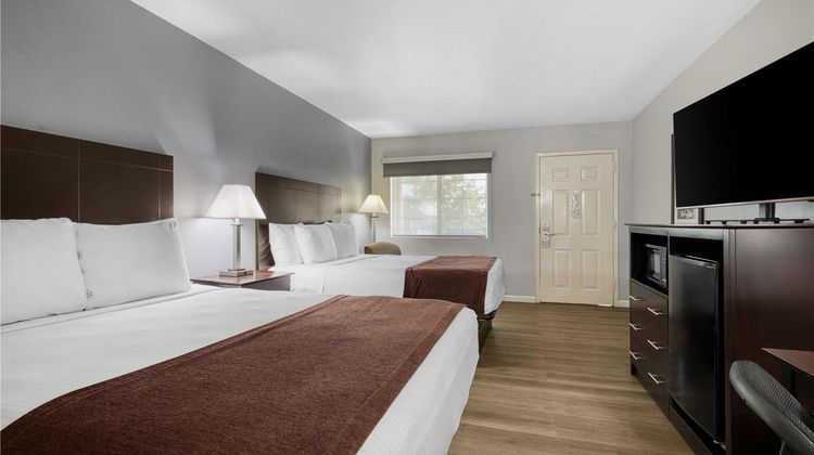 Best Western Lake Conroe Inn Room