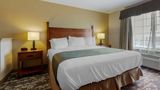 <b>Best Western Plus Red River Inn Room</b>. Images powered by <a href="https://iceportal.shijigroup.com/" title="IcePortal" target="_blank">IcePortal</a>.