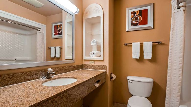 <b>Best Western Plus The Woodlands Room</b>. Images powered by <a href="https://iceportal.shijigroup.com/" title="IcePortal" target="_blank">IcePortal</a>.