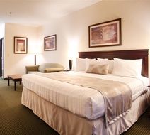 Best Western Jacksonville Inn Room