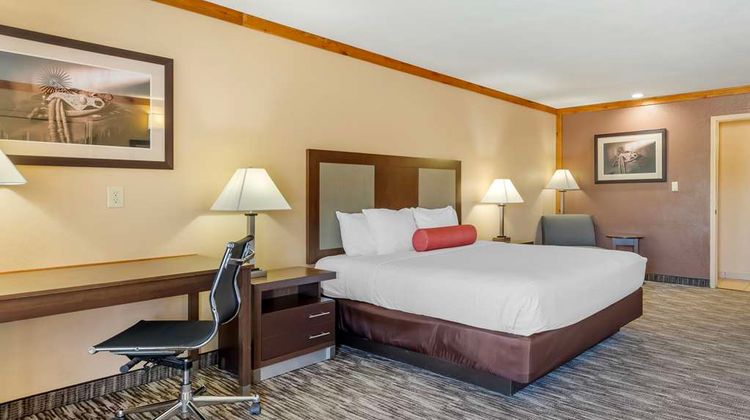 Best Western Windwood Inn & Suites Room